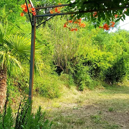 Hébergement de vacances Maison Provence T2 Avec Jardin Privé